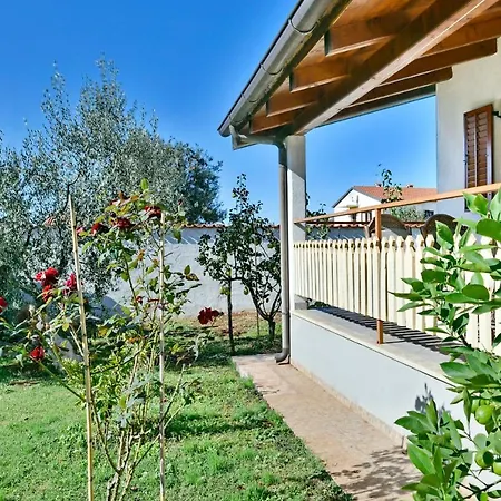 Adriatico Apartment *